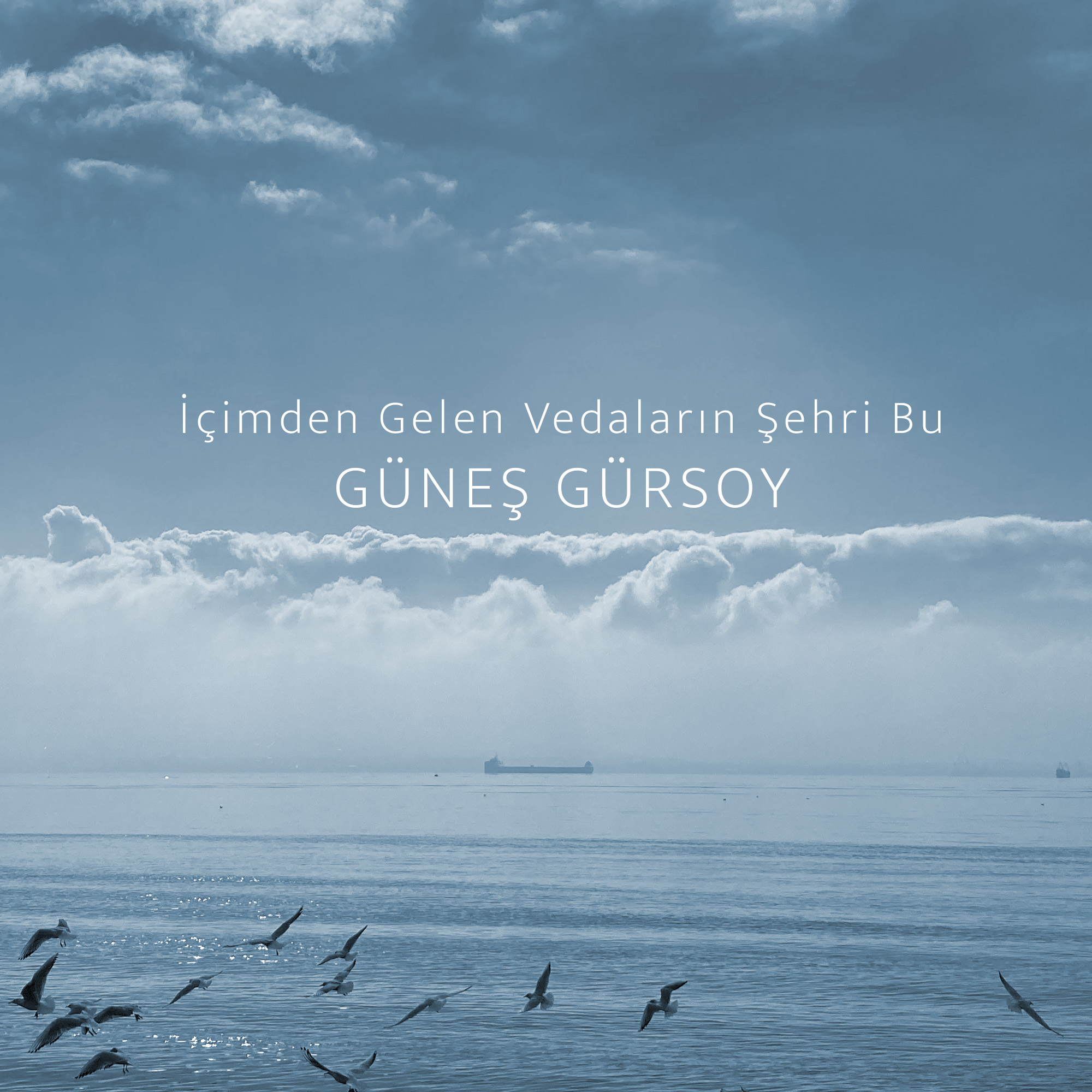 içimden gelen vedaların şehri bu albüm kapağı
